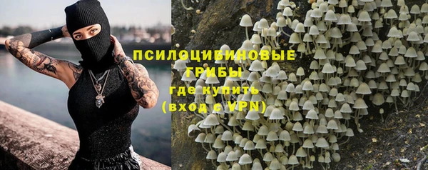 прущая мука Армянск